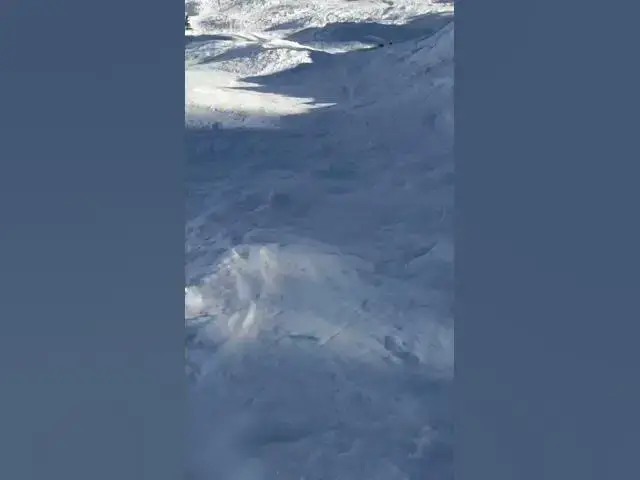 Video thumbnail for Verbier - Forest wall - Part I #verbier #ski