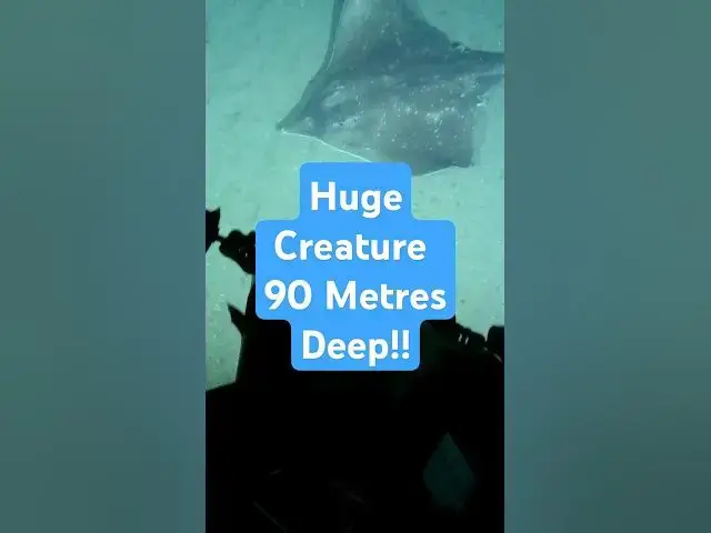 'Video thumbnail for Huge Creature Spotted Off Scotland’s Coast!'