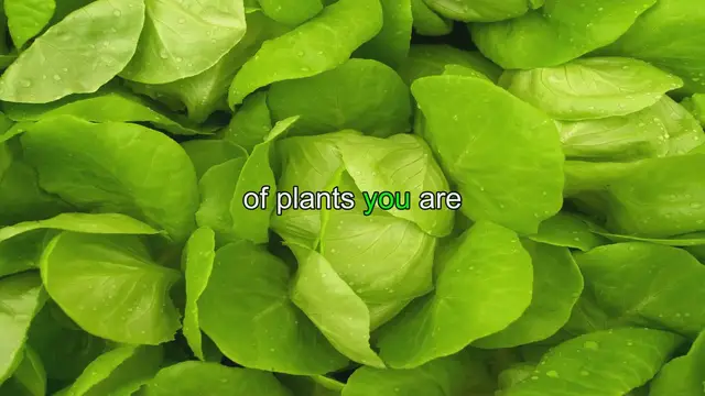 'Video thumbnail for Ultimate Guide to Optimizing Lighting for Your Hydroponic Garden'