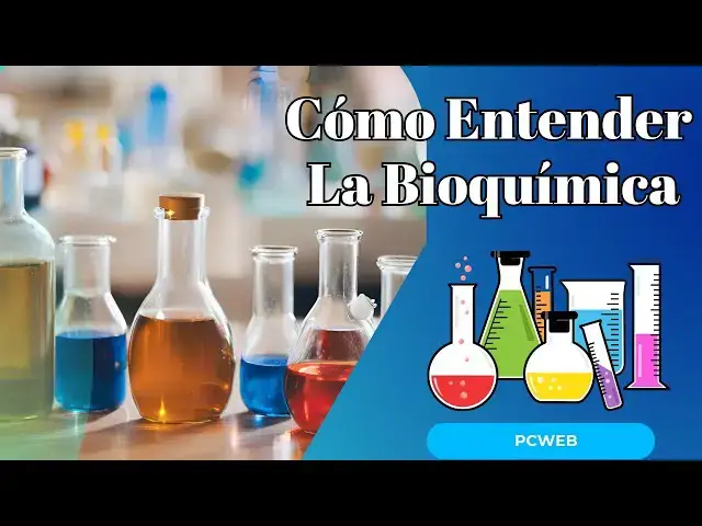Video thumbnail for Cómo Entender La Bioquímica: Guía Para Aficionados