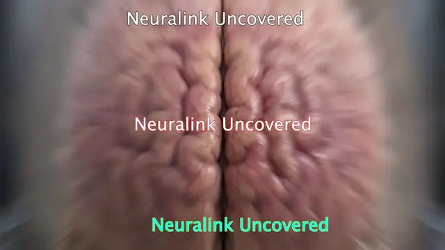 Video thumbnail for What Really Happens Inside Your Brain? | The Hidden World Within