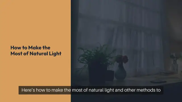 Video thumbnail for How to Grow Indoor Plants Without Grow Lights