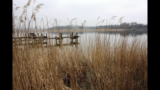 Video thumbnail for Magischer Frühlingsmorgen am Chiemsee
