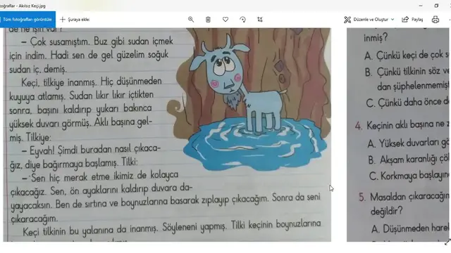 Video thumbnail for Akılsız Keçi