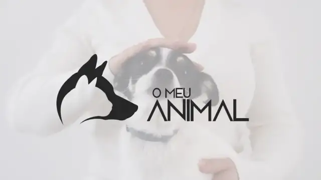Video thumbnail for Bem-vindo a O Meu Animal