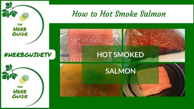 Video thumbnail for How to Make Hot Smoked Salmon|Nordic Stove Top Smoker