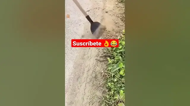 Video thumbnail for peores momentod😱😂😂😂 #funnyvideo #shorts #shortsfeed