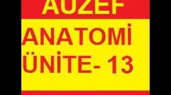 Video thumbnail for Anatomi Ünite 13 Online Test Auzef vize final– Öğrenme Yõnetim Sistemi   Google Chrome 2020 01 31 11