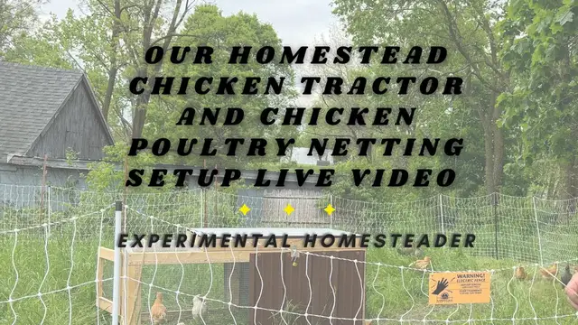 Video thumbnail for Our Homestead Chicken Tractor And Chicken Poultry Netting Setup Live Video
