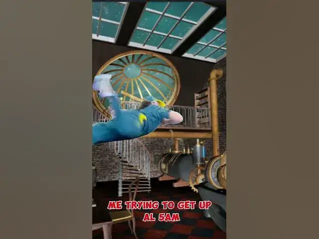 Video thumbnail for 5am #memes