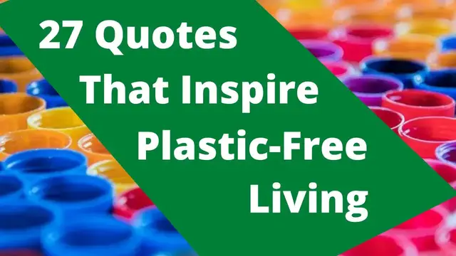 'Video thumbnail for 27 Quotes That Inspire Plastic-Free Living'