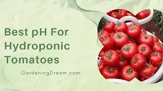 Video thumbnail for Best pH For Hydroponic Tomatoes