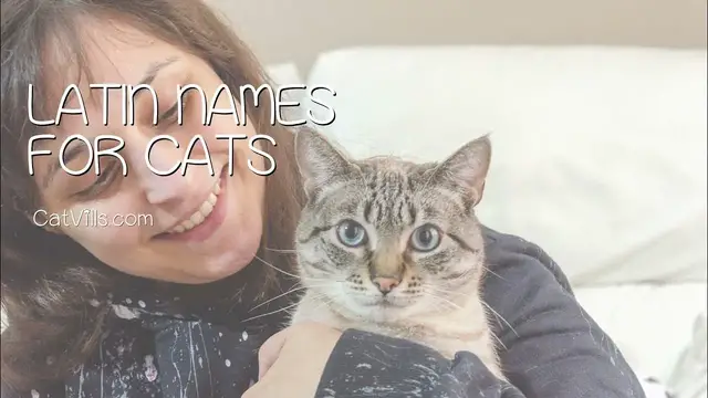 Video thumbnail for Latin Names for Cats