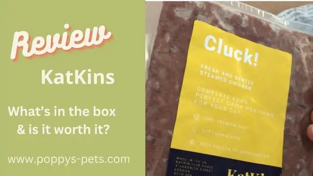 Video thumbnail for KatKin's Trial Cat Food with Fresh Meats on the Menu! Cat Food Subscription Box. Link Below