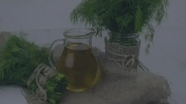 Video thumbnail for How do you grow Dill?