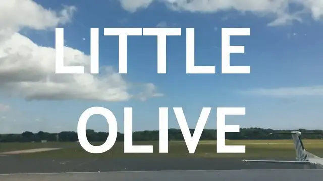 'Video thumbnail for Little Olive Bonsai, From seed, 1'