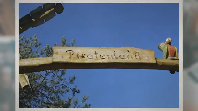 Video thumbnail for Did Pirates Really Have Parrots?