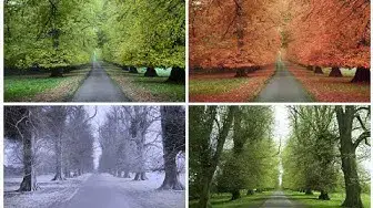 Video thumbnail for Seasonal migraines