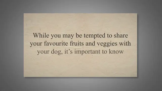 Video thumbnail for Can Dogs Eat Apricots? Know the Risks and Benefits