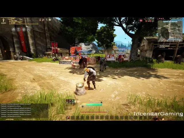 Video thumbnail for More Family Fame Mechnics - accumulation and hard cap Black Desert Online BDO