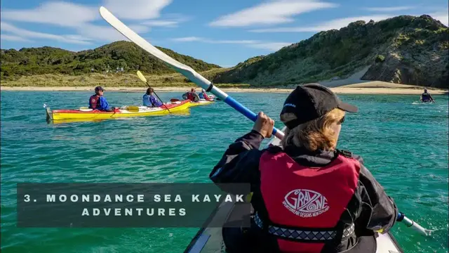 Video thumbnail for Top 18 BEST Things To Do In Bellingham, Washington - Places to Go for Free!