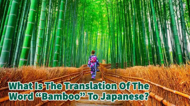 Video thumbnail for What Is The Translation Of The Word “Bamboo” In Japanese?