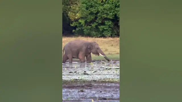 Video thumbnail for 1 November 2022