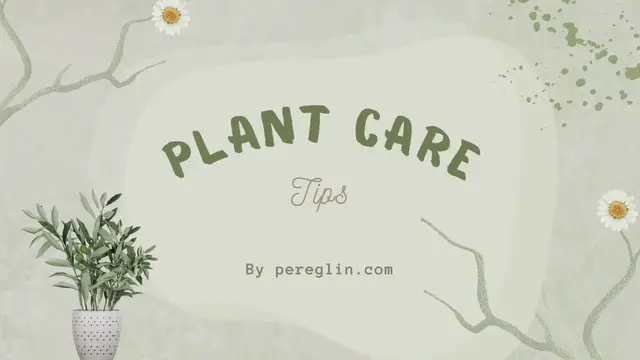 Video thumbnail for Soft Green Plant Care Tips Organic Abstract Illustation