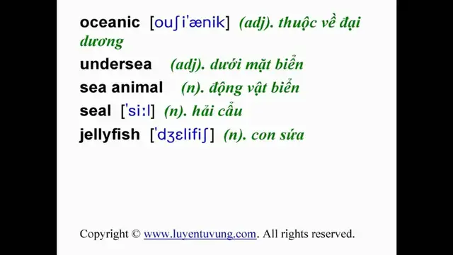 Video thumbnail for Learn English Vocabulary - Grade 10 - Unit 09 - Lesson 01