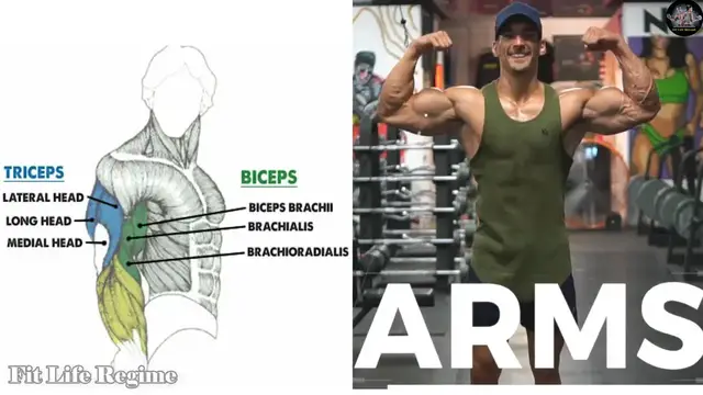 Video thumbnail for Biceps and Triceps Exercises | Full Arms Workout