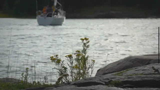 Video thumbnail for Too Old to become a Merchant Marine?