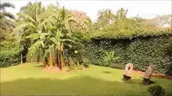 Video thumbnail for Kardamom & Koffee: A hidden gem in Kampala