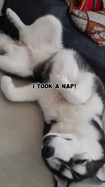 'Video thumbnail for I took a nap'