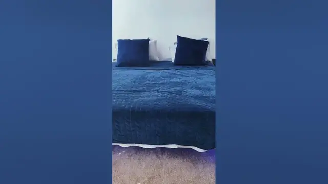 'Video thumbnail for What a bed! - thewardofthestate- TikTok #shorts'