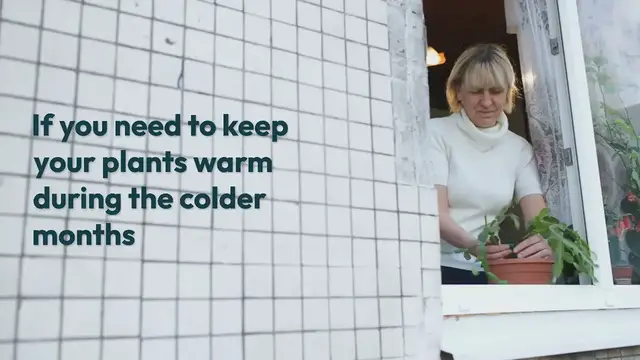 'Video thumbnail for Can You Put Plants on A Radiator?'