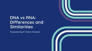 'Video thumbnail for DNA vs RNA: Differences and Similarities.'