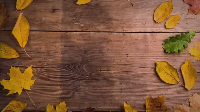 Video thumbnail for Did the Government Enact a ‘Christmas Tree Tax’ Beginning in 2014?