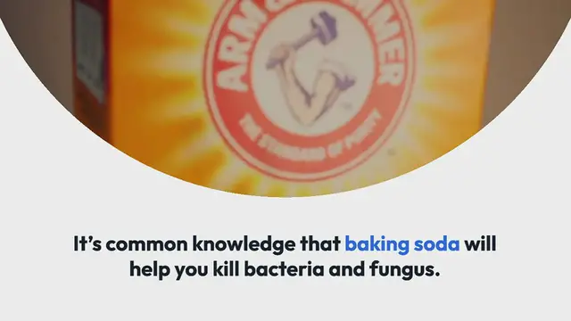 Video thumbnail for Does Baking Soda Kill Tomato Blight?