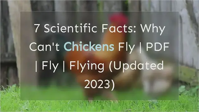 Video thumbnail for Why Cant Chickens Fly