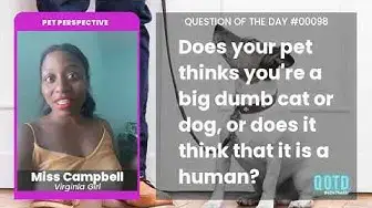 Video thumbnail for Miss Campbell's dog knows she's human. It's all in the behaviors and mannerisms!
