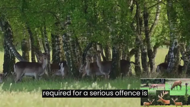 Video thumbnail for The Lowther Deer Park