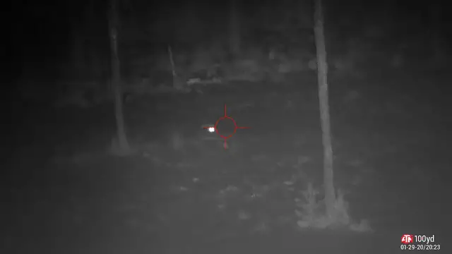 Video thumbnail for ATN X-Sight 4 K Pro. Red Fox Hunting