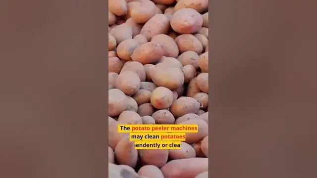 Video thumbnail for How Potato Peeler Machine Works? 3 Superb Facts About How It Works