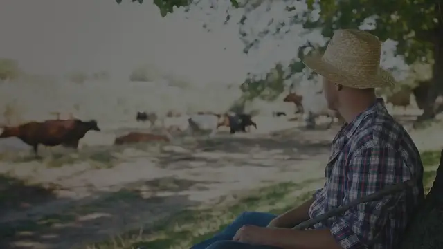 Video thumbnail for Best Minecraft Seeds