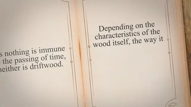 'Video thumbnail for How To Keep Driftwood From Rotting: Tips and Tricks From The One’s Who Know'