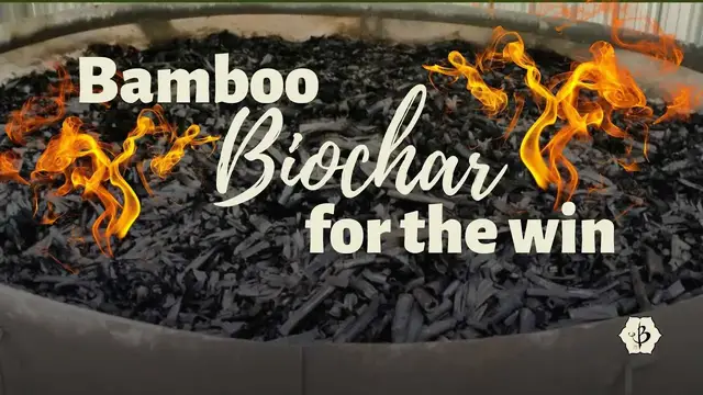 Video thumbnail for Success with Bamboo Biochar