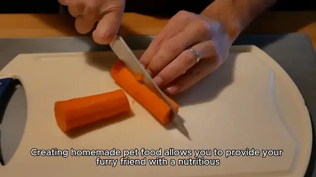 Video thumbnail for Best Homemade Pet Food recipe