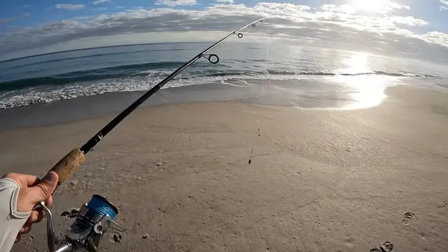 'Video thumbnail for You Don't Need A Big Surf Rod To Fish From The Beach - Beach Fishing With A 6 to 7ft Rod'