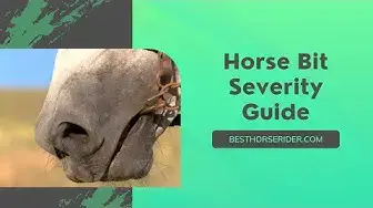 Video thumbnail for Horse Bit Severity Guide