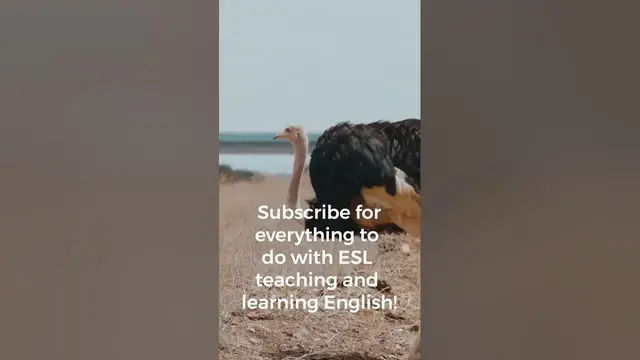 Video thumbnail for An ESL classroom activity for all students: The dance of the Ostrich | Teaching ESL Students #shorts